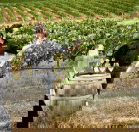 VIP Soil-To-Cellar Experience - Hotel VIC