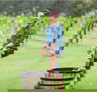 Hunter Valley Grape Stomping - Hotel VIC