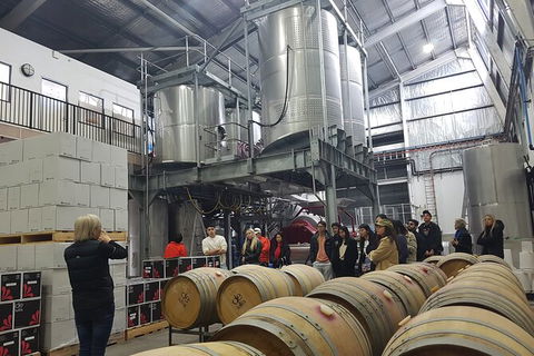 Hunter Valley Small Group Wine, Gin, Cheese & Chocolate Tour - Hotel VIC 6