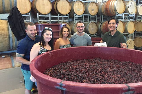Hunter Valley Small Group Wine, Gin, Cheese & Chocolate Tour - Hotel VIC 0