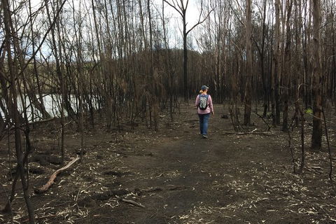 Fishermans Paradise Eco-walk - Hotel VIC 5