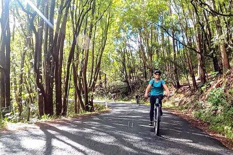 Guided E Bike Tour - Unicorn Falls & National Park - Hotel VIC 16