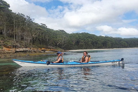 Half-Day Jervis Bay Sea Kayak Tour - Hotel VIC 6
