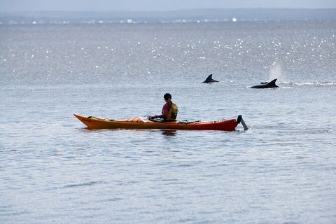 Half-Day Jervis Bay Sea Kayak Tour - Hotel VIC 4