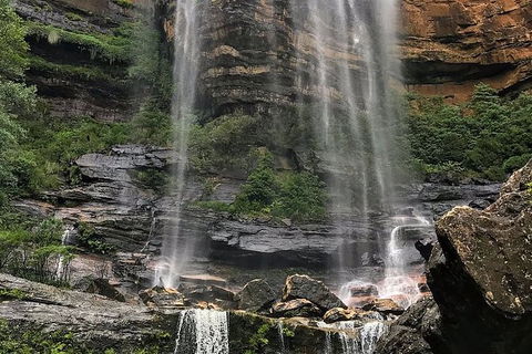 Private 10-hour Tour To Blue Mountains From Sydney - Hotel Pick Up & Drop Off - Hotel VIC 3