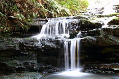 Private 10-hour Tour To Blue Mountains From Sydney - Hotel Pick Up & Drop Off - Hotel VIC 6