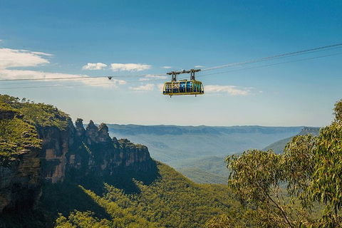 Blue Mountains Highlights, Wildlife Park And Scenic World Full Day Private Tour - Hotel VIC 0