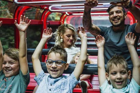 Blue Mountains Highlights, Wildlife Park And Scenic World Full Day Private Tour - Hotel VIC 5