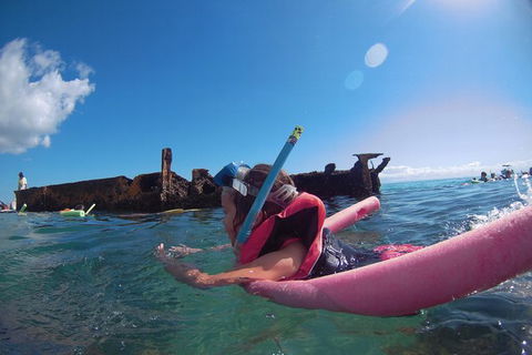 All Inclusive Dolphin And Tangalooma Wrecks Cruise - Hotel VIC 8