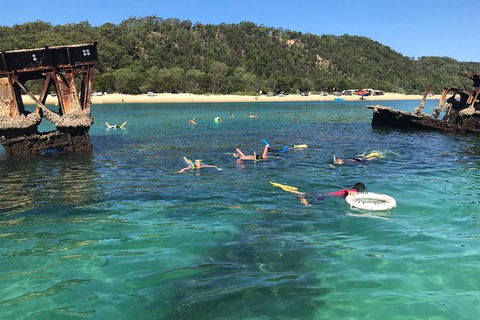 All Inclusive Dolphin And Tangalooma Wrecks Cruise - Hotel VIC 9