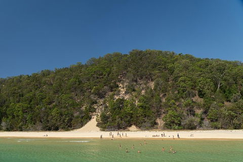 All Inclusive Dolphin And Tangalooma Wrecks Cruise - Hotel VIC 4