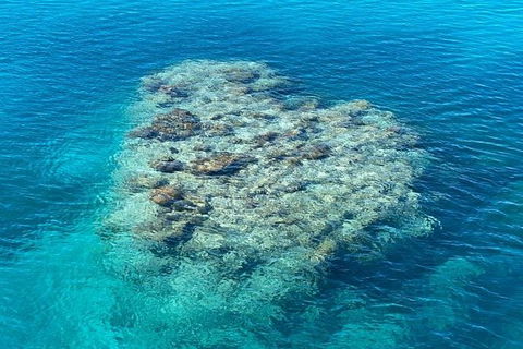 Lady Musgrave Day Trip From Bundaberg Including Snorkeling, Glass Bottom Tour And Guided Island Walk - Hotel VIC 2