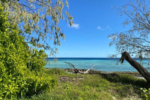Lady Musgrave Day Trip From Bundaberg Including Snorkeling, Glass Bottom Tour And Guided Island Walk - Hotel VIC 6