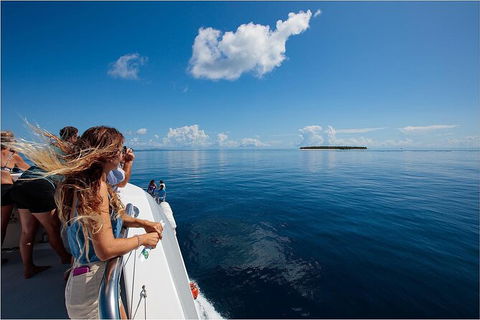 Lady Musgrave Day Trip From Bundaberg Including Snorkeling, Glass Bottom Tour And Guided Island Walk - Hotel VIC 4