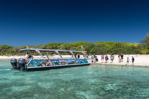 Lady Musgrave Day Trip From Bundaberg Including Snorkeling, Glass Bottom Tour And Guided Island Walk - Hotel VIC 5