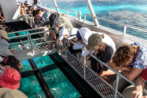 Lady Musgrave Day Trip From Bundaberg Including Snorkeling, Glass Bottom Tour And Guided Island Walk - Hotel VIC 3