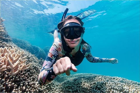 Lady Musgrave Day Trip From Bundaberg Including Snorkeling, Glass Bottom Tour And Guided Island Walk - Hotel VIC 1