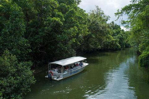 Daintree Rainforest, Cape Tribulation And Bloomfield Track Small Group Tour - Hotel VIC 5