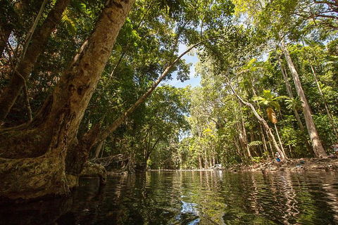 Daintree Rainforest, Cape Tribulation And Bloomfield Track Small Group Tour - Hotel VIC 7