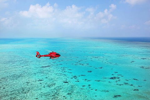 Ultimate Great Barrier Reef And Rainforest 45-minute Helicopter Tour - Hotel VIC 4