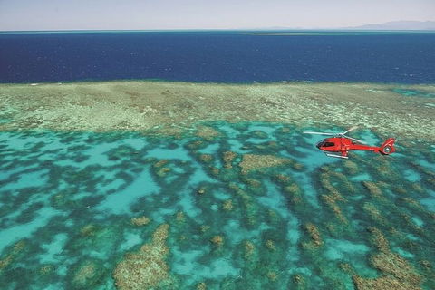 Ultimate Great Barrier Reef And Rainforest 45-minute Helicopter Tour - Hotel VIC 2
