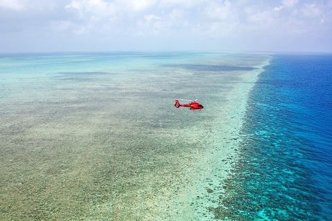 Ultimate Great Barrier Reef And Rainforest 45-minute Helicopter Tour - Hotel VIC 5