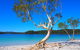 Fraser Island 4WD Tour From Rainbow Beach - thumb 1