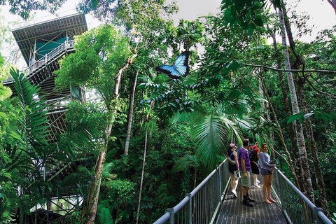 Daintree Discovery Centre Family Pass Ticket - Hotel VIC 2