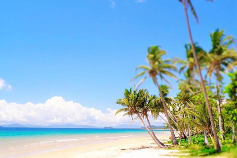 Airport Transfer - Mission Beach To Cairns Airport - Hotel VIC 3