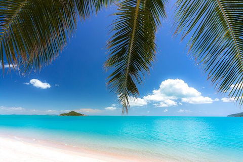 Rainforest To Reef Experience - Reef And Beyond Guided Holidays - Hotel VIC 1