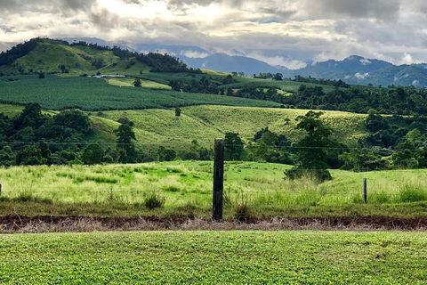 Tableland Tasting Tour - Hotel VIC 0