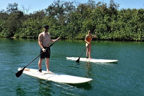 Paddle Board Hire In Surfers Paradise - Hotel VIC 2