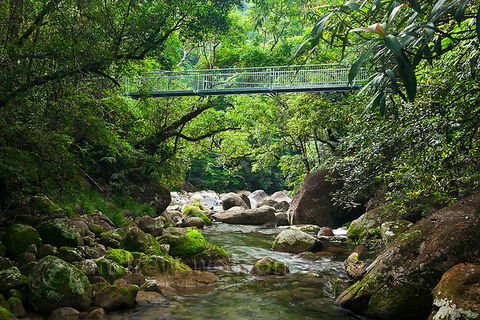 SHUTTLE - Mossman Gorge & Cooya Beach From Port Douglas (Return Transfer) - Hotel VIC 4