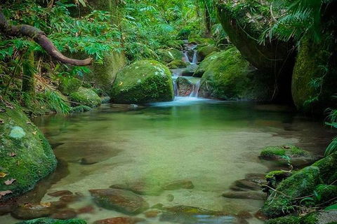 SHUTTLE - Mossman Gorge & Cooya Beach From Port Douglas (Return Transfer) - Hotel VIC 2
