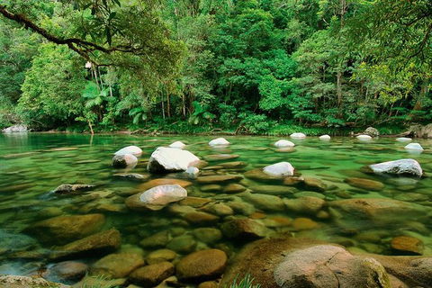SHUTTLE - Mossman Gorge & Cooya Beach From Port Douglas (Return Transfer) - Hotel VIC 3