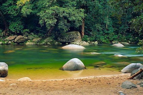 SHUTTLE - Mossman Gorge & Cooya Beach From Port Douglas (Return Transfer) - Hotel VIC 1