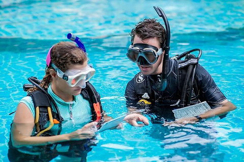 PADI Diving Courses On The Gold Coast - Hotel VIC 0