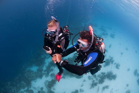 PADI Diving Courses On The Gold Coast - Hotel VIC 5