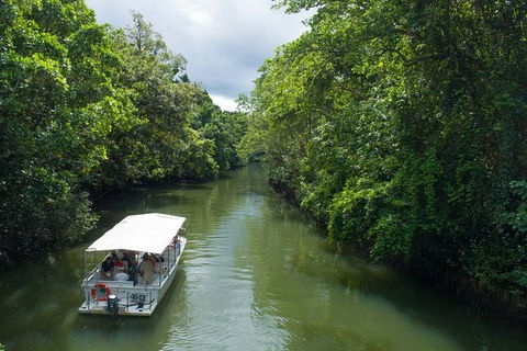 World Heritage Highlights: Reef/Daintree/Cape Tribulation - Hotel VIC 1