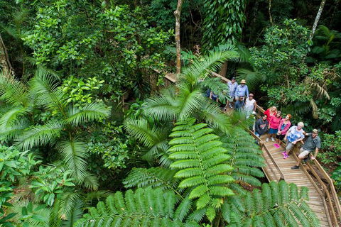 World Heritage Highlights: Reef/Daintree/Cape Tribulation - Hotel VIC 3