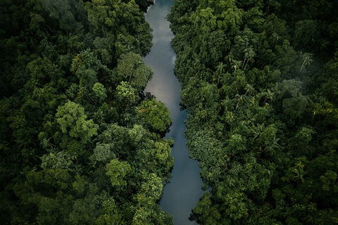 World Heritage Highlights: Reef/Daintree/Cape Tribulation - Hotel VIC 10