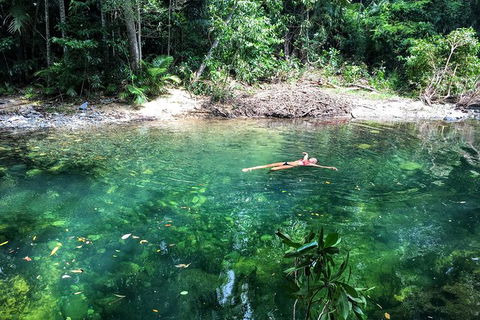 World Heritage Highlights: Reef/Daintree/Cape Tribulation - Hotel VIC 4