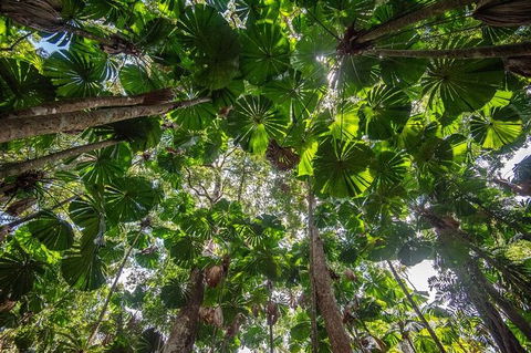 5 Day Australia Retreat: Queensland Daintree - Hotel VIC 4