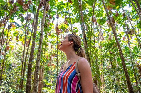 5 Day Australia Retreat: Queensland Daintree - Hotel VIC 3