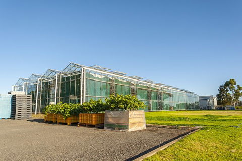 Yalumba Nursery & Grenache Discovery Tour + Platter Lunch - Hotel VIC 5