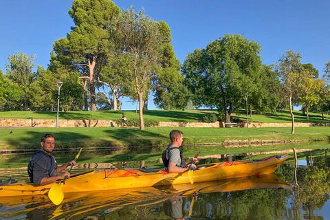 Adelaide City Kayak Tour - Hotel VIC 4