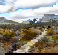 Cradle Mountain Day Tour