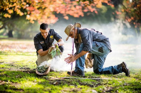 Aboriginal Heritage Walk - Royal Botanic Gardens Victoria, Melbourne Gardens - Hotel VIC 0