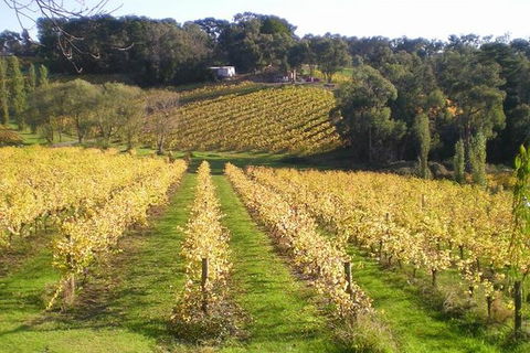 Macedon Ranges Winery Tour From Melbourne - Hotel VIC 1