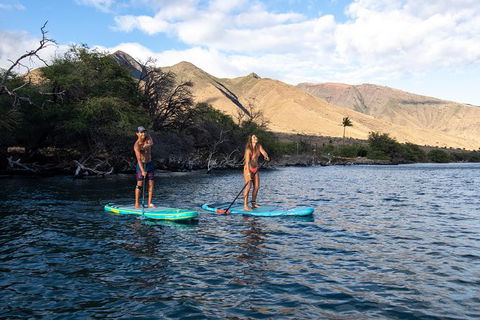 Stand Up Paddle Boarding Hire - Hotel VIC 2